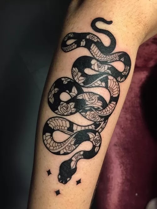 rose-and-snake